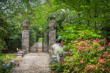 Garden gates. Link to Gifts of Cash, Checks, and Credit Cards
