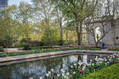 Tulips bloom along a water feature. Link to Gifts from Retirement Assets